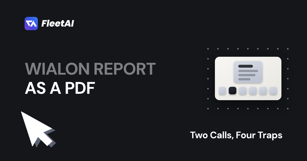 Cover: “Wialon report as a PDF” — a page above the six format bits, with the second one set